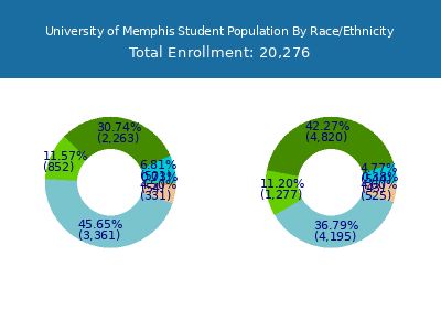 University of Memphis 2025 Student Population by Gender and Race chart