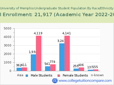 University of Memphis 2023 Undergraduate Enrollment by Gender and Race chart