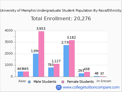 University of Memphis 2025 Undergraduate Enrollment by Gender and Race chart