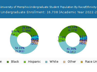 University of Memphis 2023 Undergraduate Enrollment by Gender and Race chart
