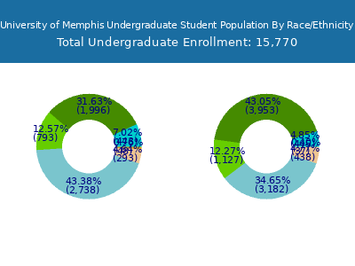 University of Memphis 2025 Undergraduate Enrollment by Gender and Race chart