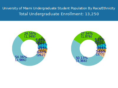 University of Miami 2025 Undergraduate Enrollment by Gender and Race chart