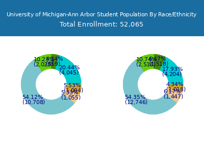 UM-Ann Arbor - Student Population and Demographics