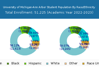 University of Michigan-Ann Arbor 2023 Student Population by Gender and Race chart