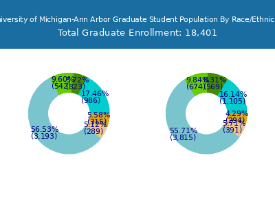 University of Michigan-Ann Arbor 2025 Graduate Enrollment by Gender and Race chart