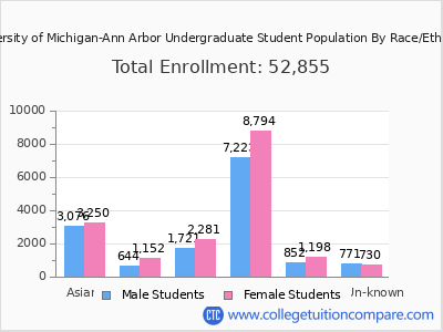 University of Michigan-Ann Arbor 2025 Undergraduate Enrollment by Gender and Race chart
