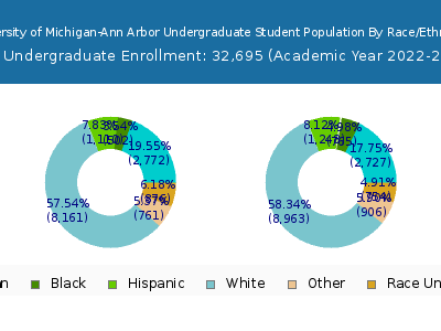 University of Michigan-Ann Arbor 2023 Undergraduate Enrollment by Gender and Race chart