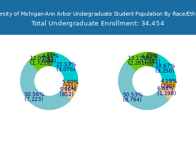 University of Michigan-Ann Arbor 2025 Undergraduate Enrollment by Gender and Race chart