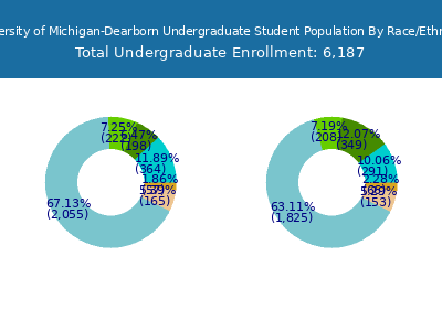 University of Michigan-Dearborn 2025 Undergraduate Enrollment by Gender and Race chart