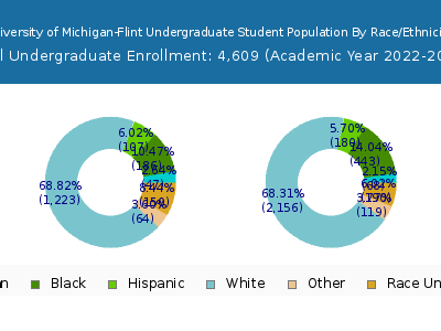 University of Michigan-Flint 2023 Undergraduate Enrollment by Gender and Race chart