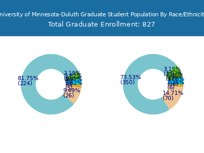 University of Minnesota-Duluth 2025 Graduate Enrollment by Gender and Race chart