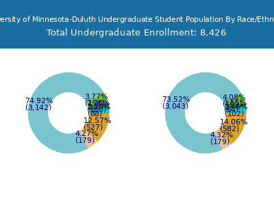 University of Minnesota-Duluth 2025 Undergraduate Enrollment by Gender and Race chart