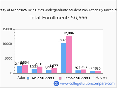 University of Minnesota-Twin Cities 2025 Undergraduate Enrollment by Gender and Race chart