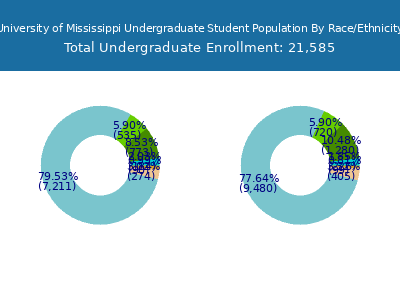 University of Mississippi 2025 Undergraduate Enrollment by Gender and Race chart