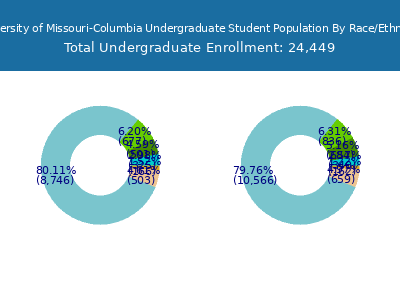 University of Missouri-Columbia 2025 Undergraduate Enrollment by Gender and Race chart