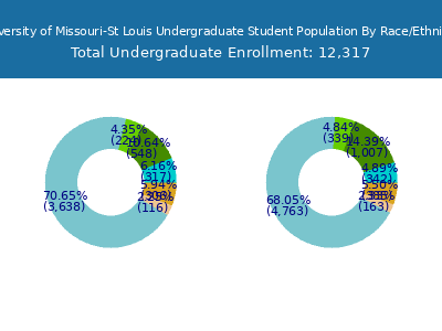 University of Missouri-St Louis 2025 Undergraduate Enrollment by Gender and Race chart