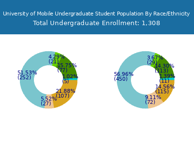University of Mobile 2025 Undergraduate Enrollment by Gender and Race chart