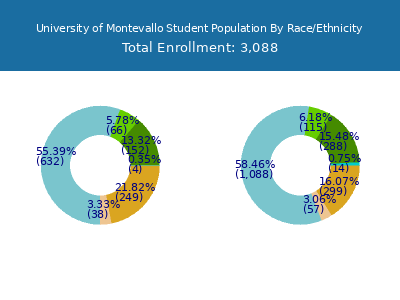 University of Montevallo 2025 Student Population by Gender and Race chart