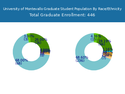 University of Montevallo 2025 Graduate Enrollment by Gender and Race chart