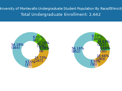 University of Montevallo 2025 Undergraduate Enrollment by Gender and Race chart
