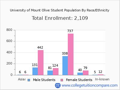 University of Mount Olive 2025 Student Population by Gender and Race chart