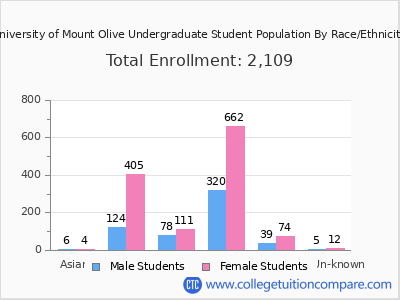 University of Mount Olive 2025 Undergraduate Enrollment by Gender and Race chart