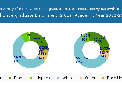 University of Mount Olive 2023 Undergraduate Enrollment by Gender and Race chart