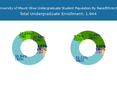 University of Mount Olive 2025 Undergraduate Enrollment by Gender and Race chart