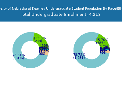 University of Nebraska at Kearney 2025 Undergraduate Enrollment by Gender and Race chart