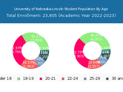 University of Nebraska-Lincoln 2023 Student Population Age Diversity Pie chart