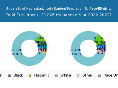 University of Nebraska-Lincoln 2023 Student Population by Gender and Race chart