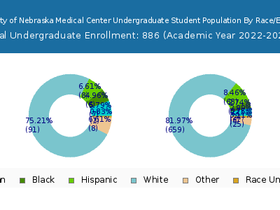 University of Nebraska Medical Center 2023 Undergraduate Enrollment by Gender and Race chart