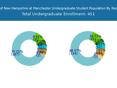 University of New Hampshire at Manchester 2025 Undergraduate Enrollment by Gender and Race chart