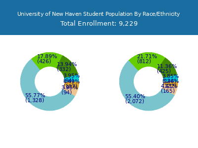 University of New Haven 2025 Student Population by Gender and Race chart
