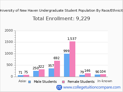 University of New Haven 2025 Undergraduate Enrollment by Gender and Race chart