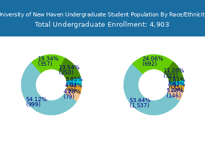 University of New Haven 2025 Undergraduate Enrollment by Gender and Race chart