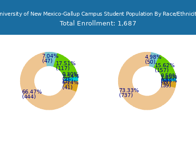 University of New Mexico-Gallup Campus 2025 Student Population by Gender and Race chart