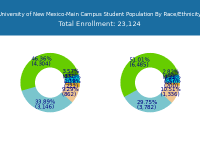 University of New Mexico-Main Campus 2025 Student Population by Gender and Race chart