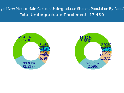 University of New Mexico-Main Campus 2025 Undergraduate Enrollment by Gender and Race chart