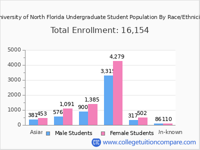 University of North Florida 2025 Undergraduate Enrollment by Gender and Race chart