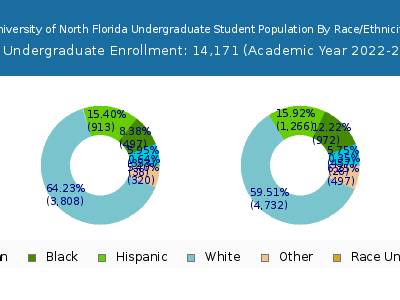 University of North Florida 2023 Undergraduate Enrollment by Gender and Race chart