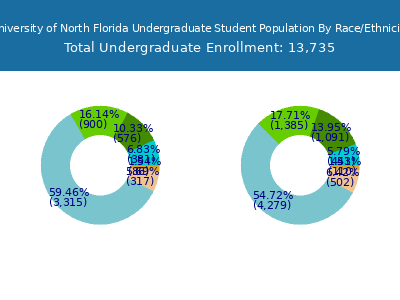 University of North Florida 2025 Undergraduate Enrollment by Gender and Race chart