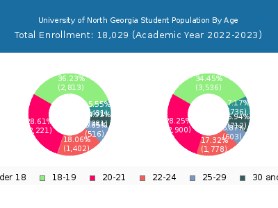 University of North Georgia 2023 Student Population Age Diversity Pie chart