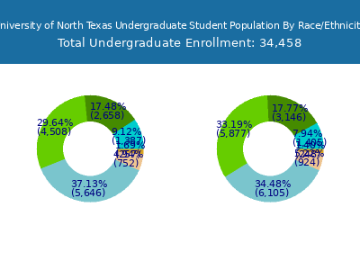 University of North Texas 2025 Undergraduate Enrollment by Gender and Race chart