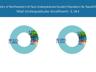 University of Northwestern-St Paul 2025 Undergraduate Enrollment by Gender and Race chart