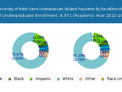 University of Notre Dame 2023 Undergraduate Enrollment by Gender and Race chart