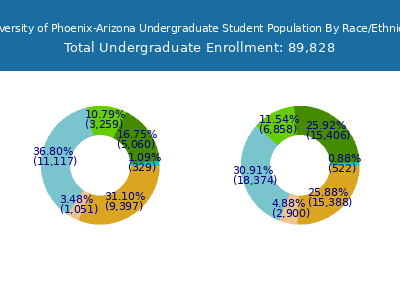 University of Phoenix-Arizona 2025 Undergraduate Enrollment by Gender and Race chart