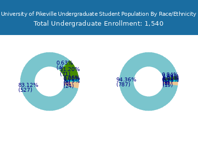 University of Pikeville 2025 Undergraduate Enrollment by Gender and Race chart