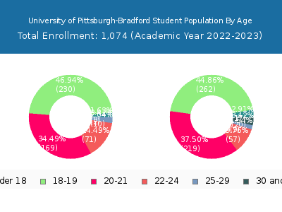 University of Pittsburgh-Bradford 2023 Student Population Age Diversity Pie chart