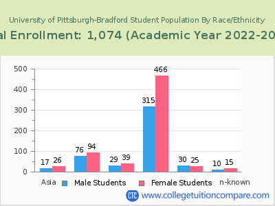 University of Pittsburgh-Bradford 2023 Student Population by Gender and Race chart
